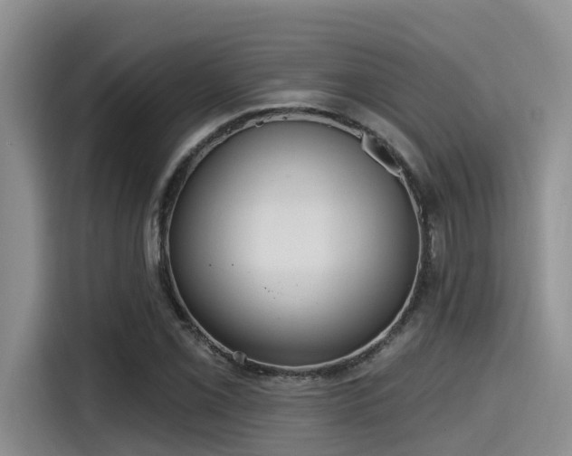 X0000115451069200911121149