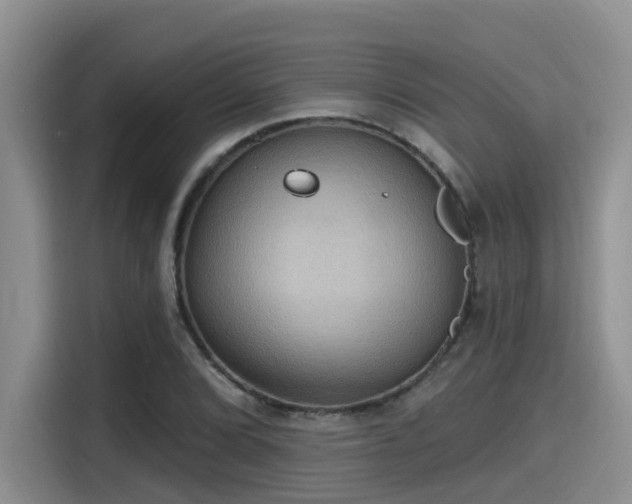 X0000115451072200911121149