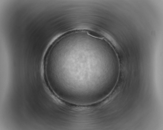 X0000115451076200911121149