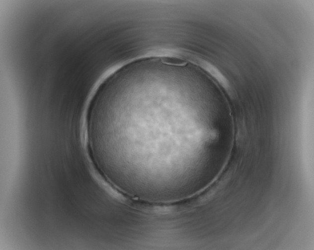 X0000115451080200911121149