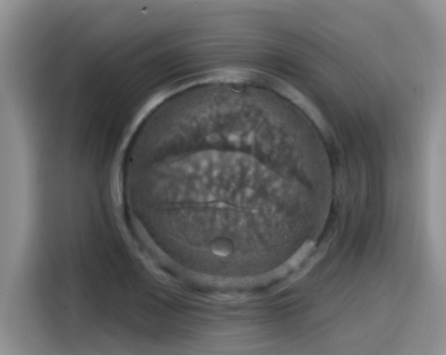 X0000115451083200911121149