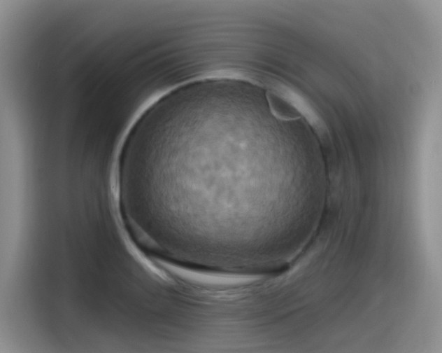 X0000115451084200911121149
