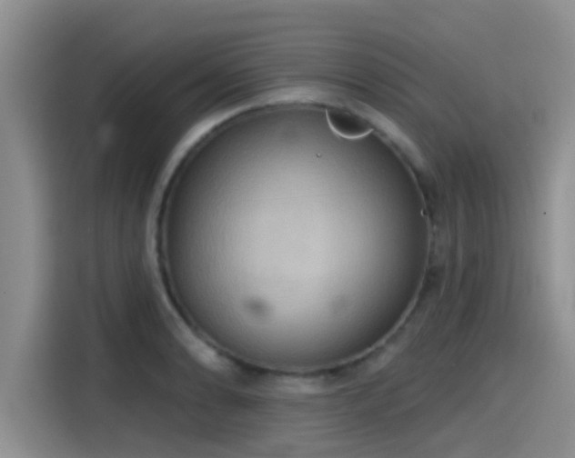 X0000115451086200911121149