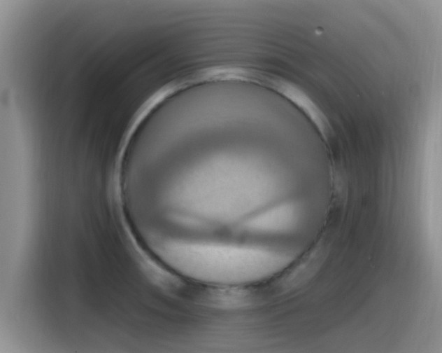 X0000115451090200911121149