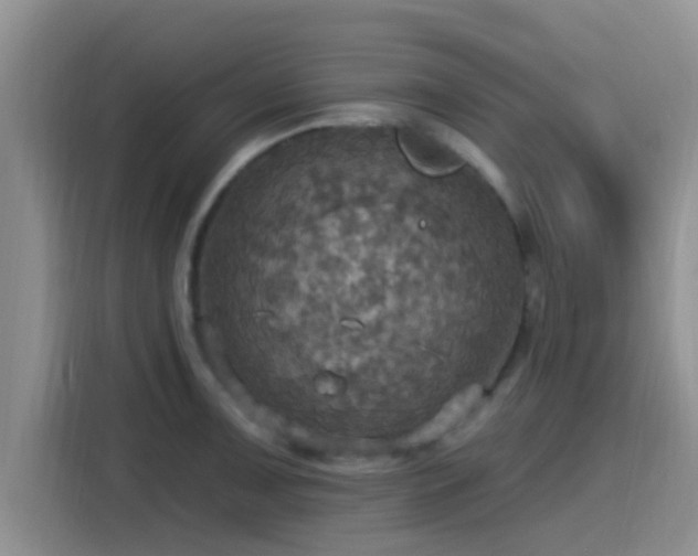 X0000115451091200911121149