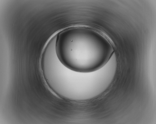 X0000115451092200911121149