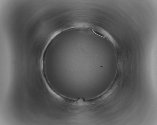 X0000115451095200911121149
