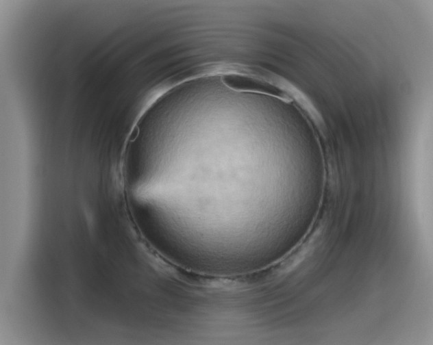 X0000115451097200911121149