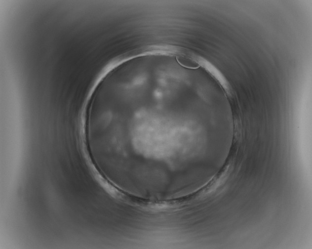 X0000115451099200911121149