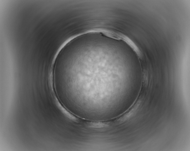 X0000115451100200911121149