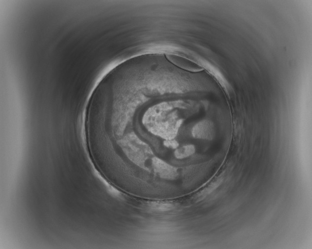 X0000115451103200911121149