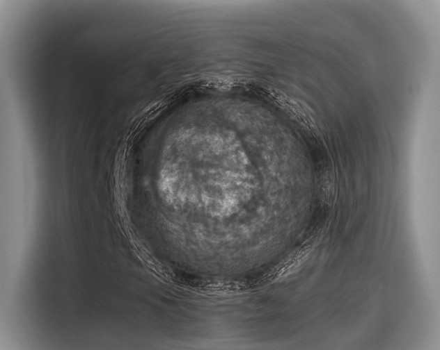 X0000115451105200911121148