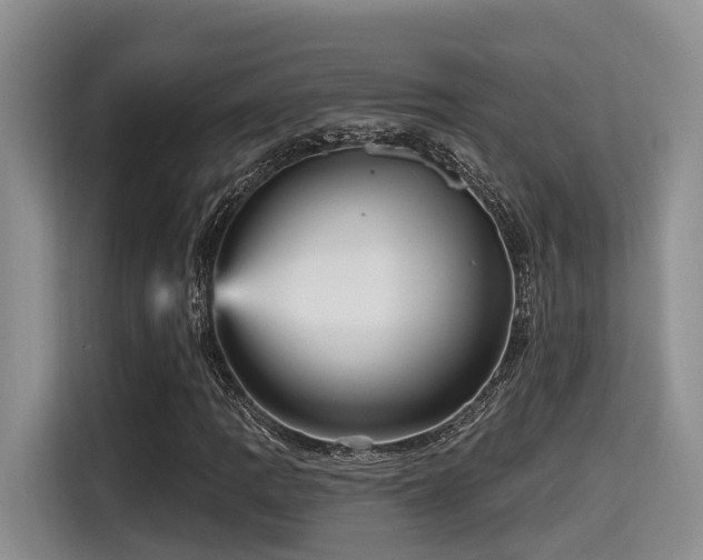 X0000115451109200911121148