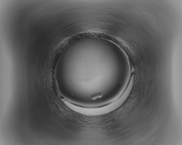 X0000115451110200911121148