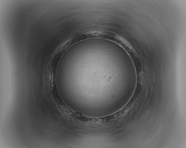 X0000115451111200911121148