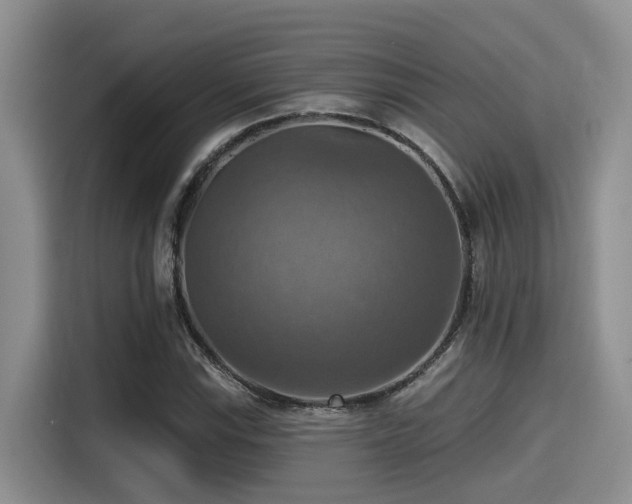 X0000115451115200911121148