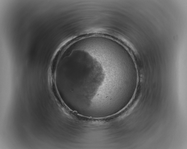 X0000115451117200911121148