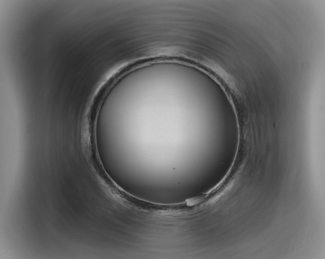 X0000115451118200911121148