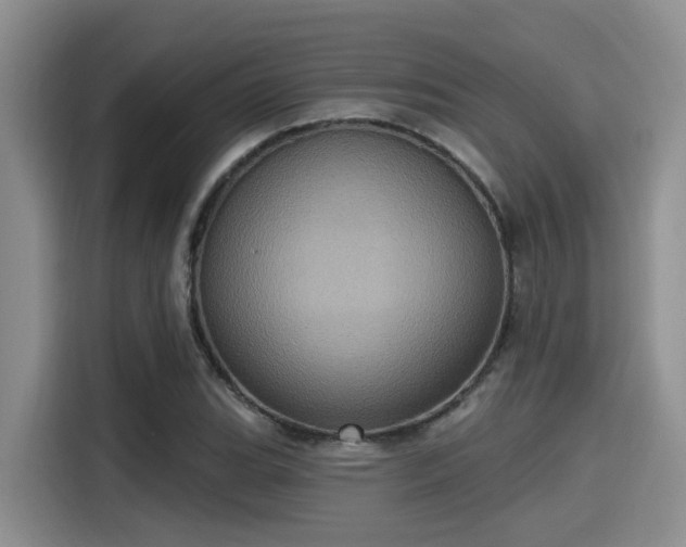 X0000115451119200911121148