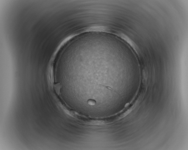X0000115451123200911121148
