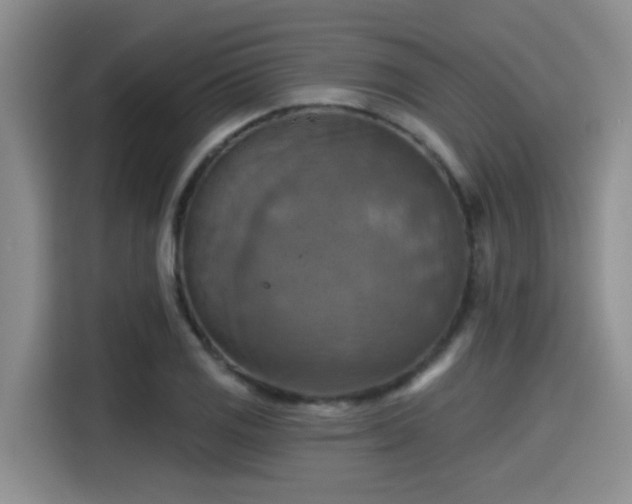 X0000115451125200911121148