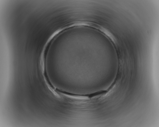 X0000115451127200911121148