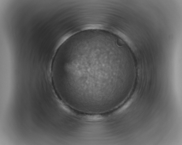 X0000115451129200911121148