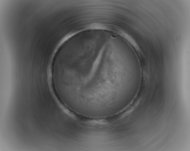 X0000115451133200911121148