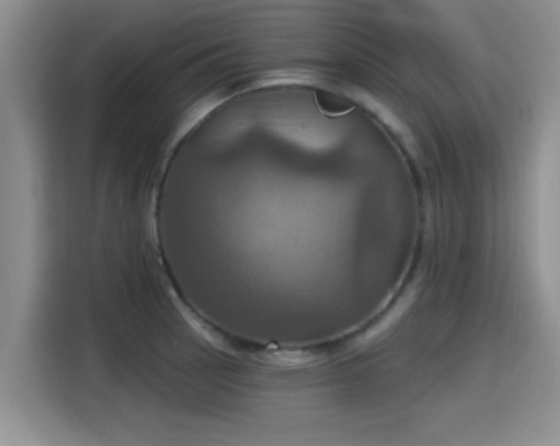 X0000115451137200911121148