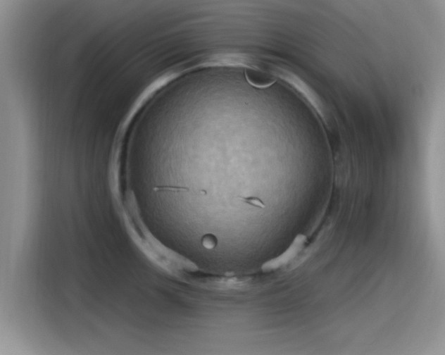 X0000115451139200911121148