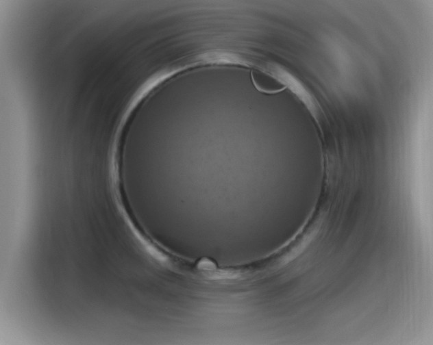 X0000115451141200911121148