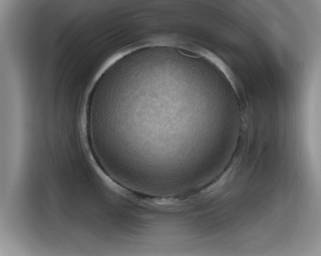 X0000115451147200911121148