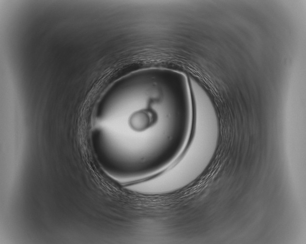 X0000115451153200911121148