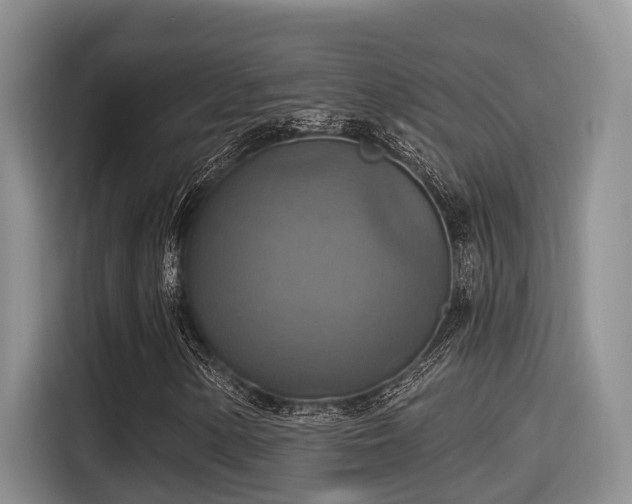 X0000115451154200911121148