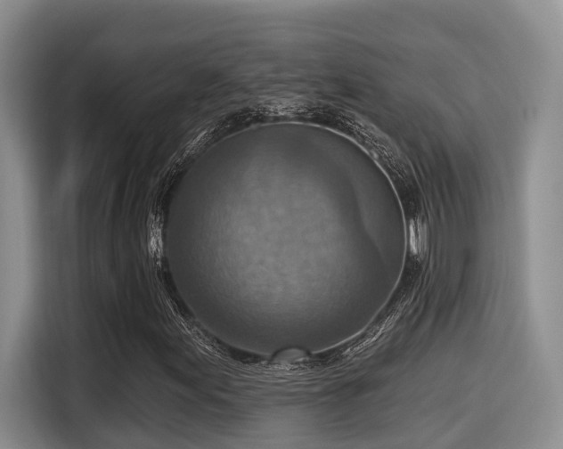 X0000115451155200911121148