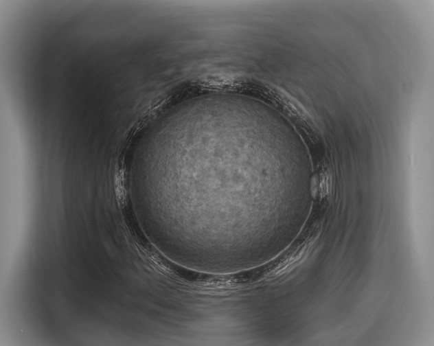 X0000115451156200911121148