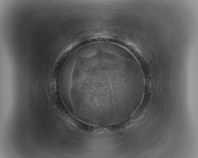 X0000115451159200911121148
