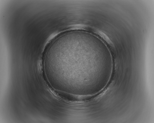 X0000115451164200911121148