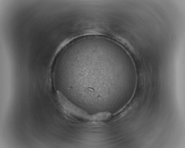 X0000115451168200911121148