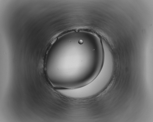 X0000115451169200911121148