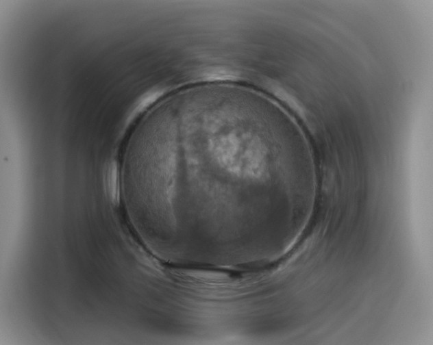 X0000115451171200911121148