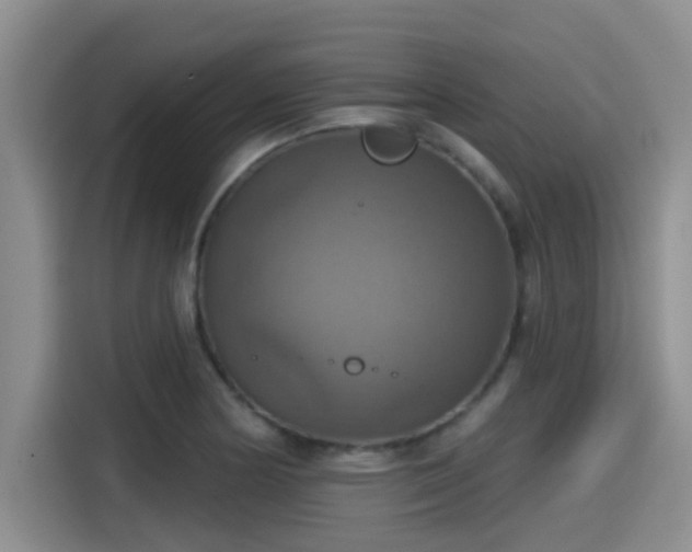 X0000115451178200911121148