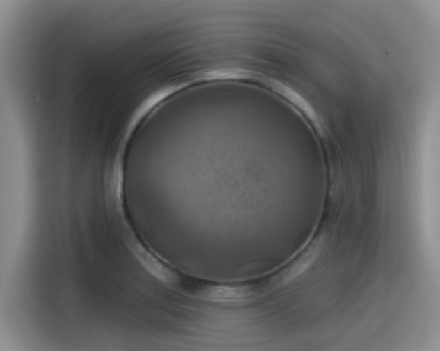 X0000115451179200911121148