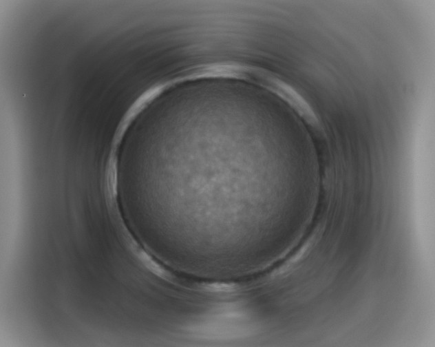 X0000115451180200911121148