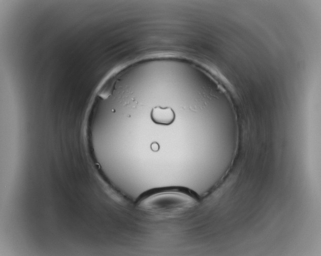 X0000115451181200911121148