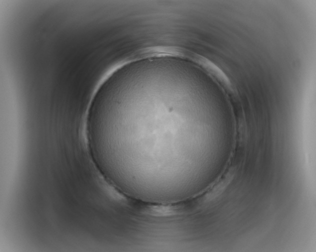 X0000115451182200911121148