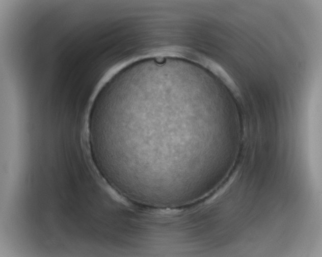 X0000115451184200911121148