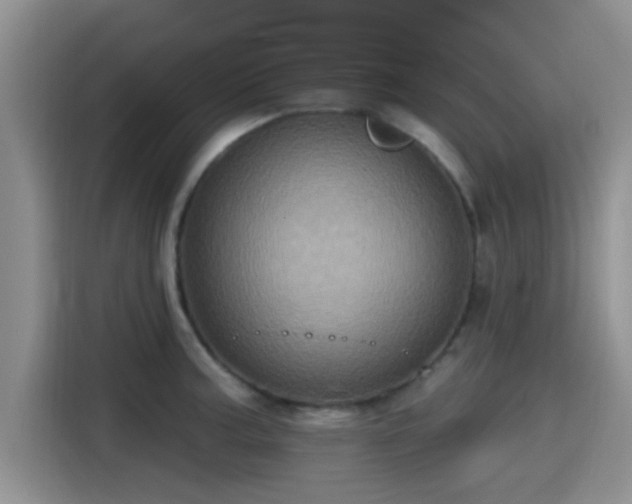 X0000115451187200911121147