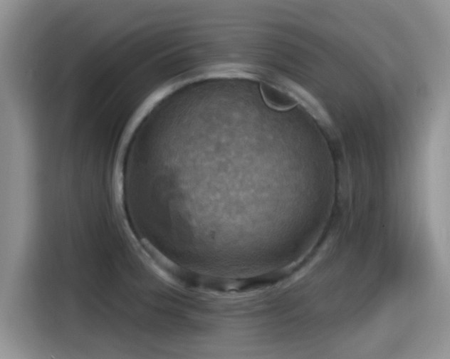 X0000115451188200911121147