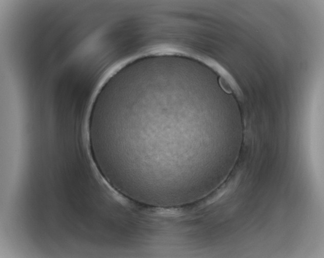 X0000115451191200911121147